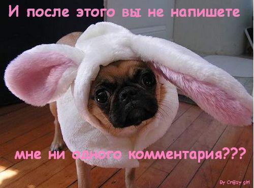 Миша Потапов