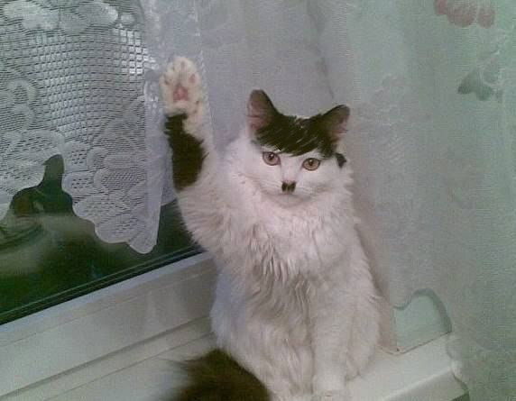 Сергей Лоренц