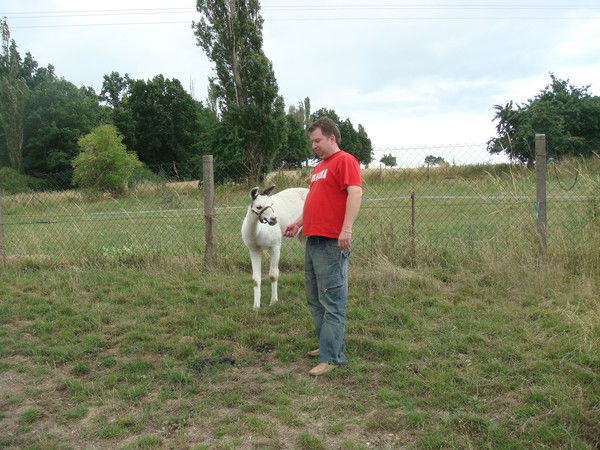 Павел Ашапатов