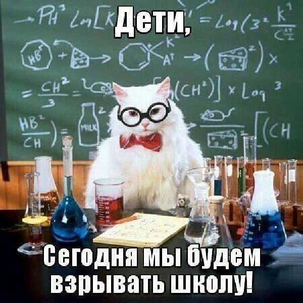 Афина Акматова