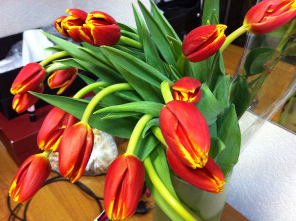 Светлана Истомина