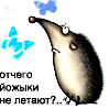 Женя Чепусова
