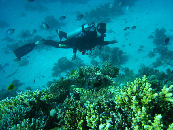 Андрей Голдобин