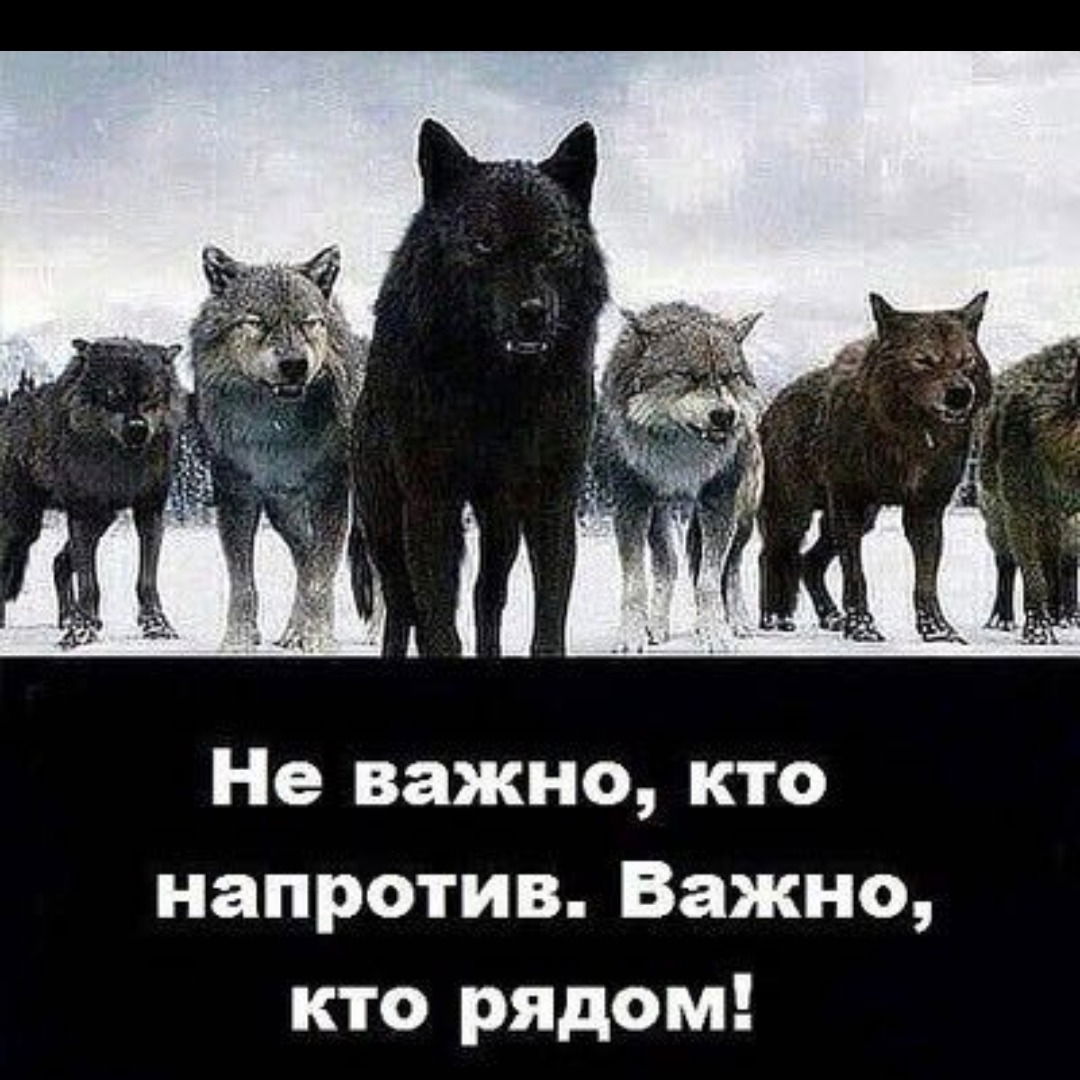 Вардан Мкртчян