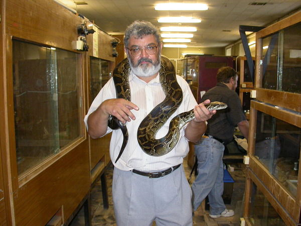 Георгий Максудов