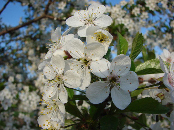 Татьяна Куликова