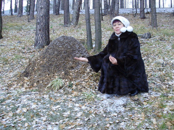 Фануза Шарафиева