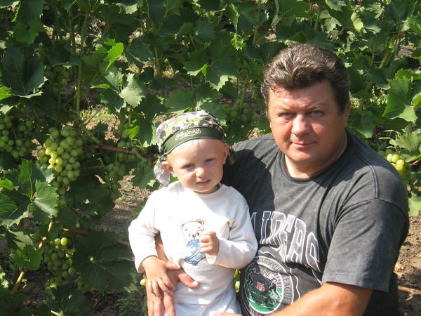 Александр Кекало