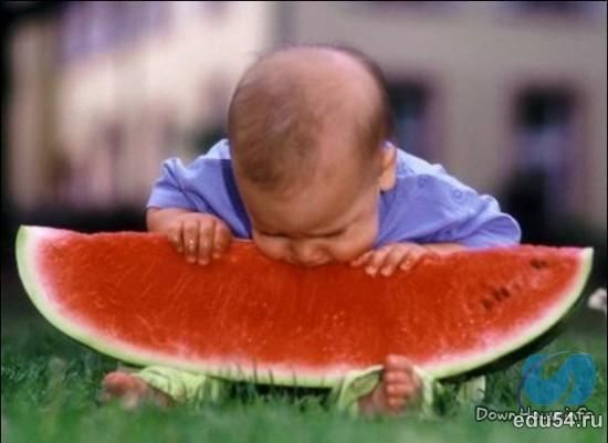 Екатерина Сурова