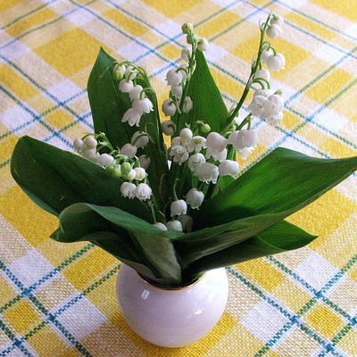 Сария Багабиева