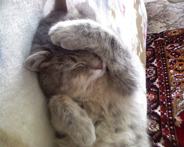 Михаил Папурин