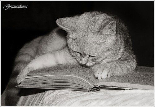 Татьяна Гурдаева