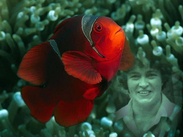 Алевтина Замараева