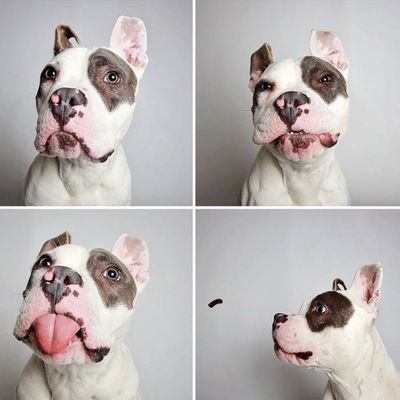 Данил Гаврилов