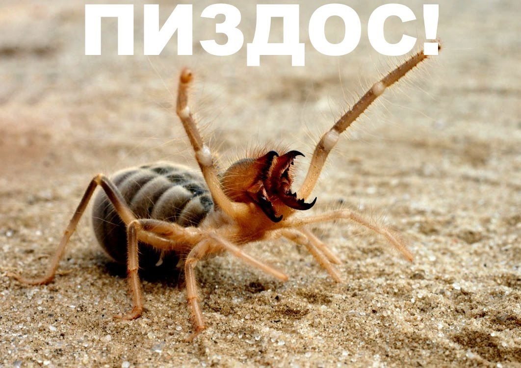 Даниил Маринин