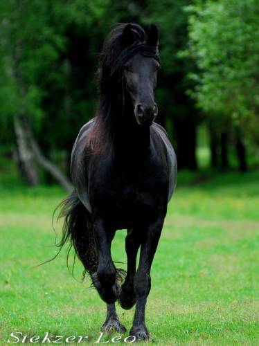 Алина Кузьмина