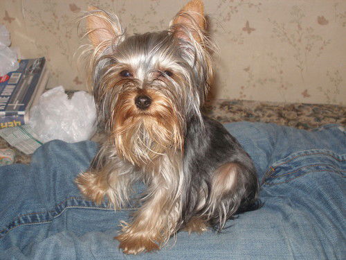 Мария Иванова