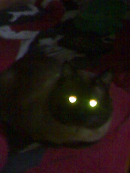 Роман Архипов