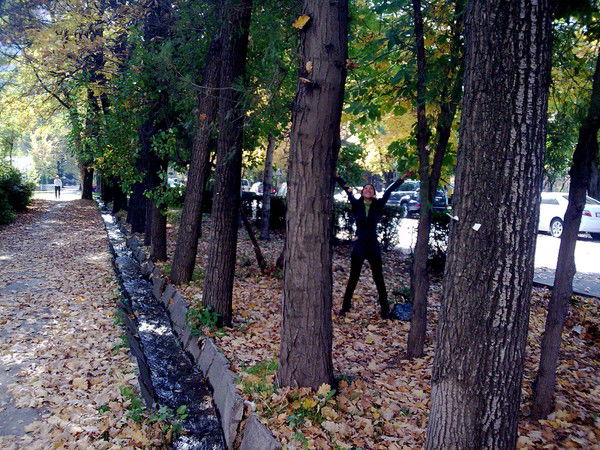 Наргиля Тариэлева