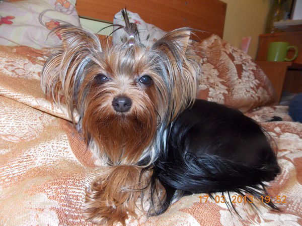 Мария Кочурова