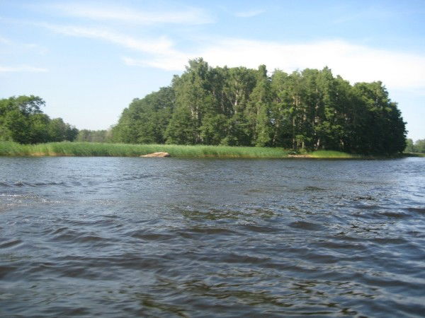 Галина Митина