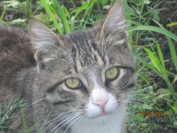 Татьяна Пермякова