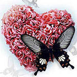 ***айжанчик ***