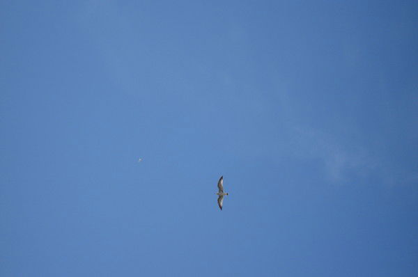 Анастасия Куликова