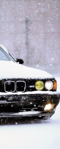 Александр Яцын