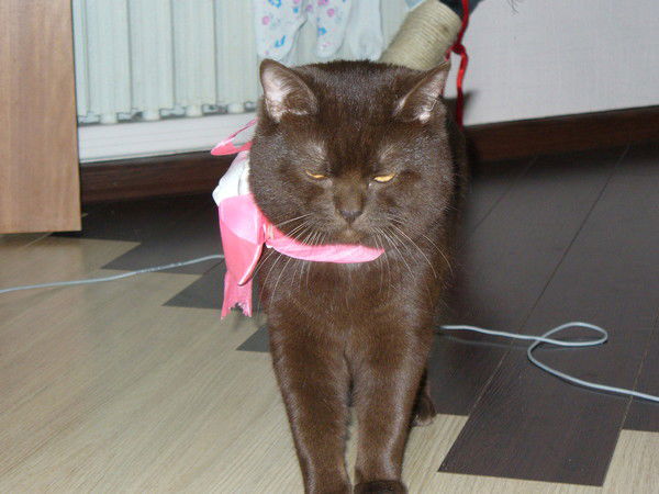 Руслан Мусин