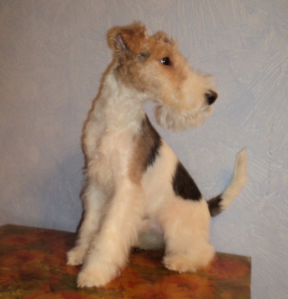 Елена Фролова