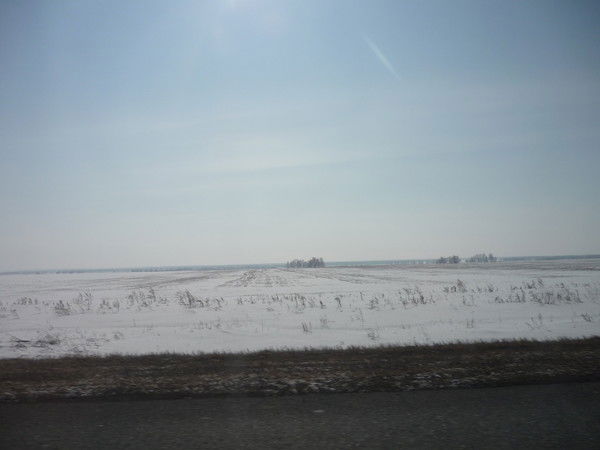 Андрей Варгусов