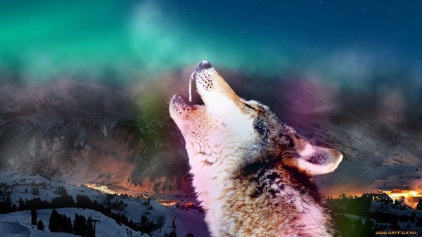 Евгений Бондарь