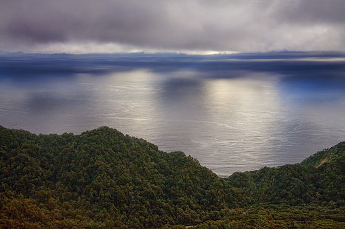 Данияр Бекназаров