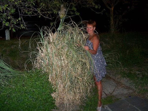 Ирина Гуржиенко