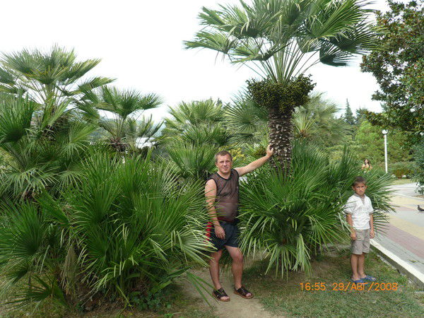 Андрей Макушев