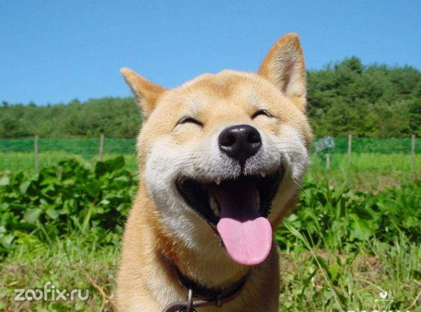 Александр Посохов