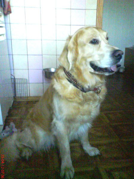 Евгений Барышев