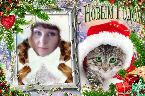 Евгения Шешукова