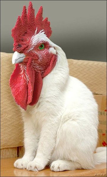 Пётр Петров