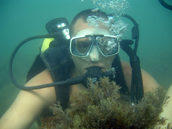 Андрей Палиоха