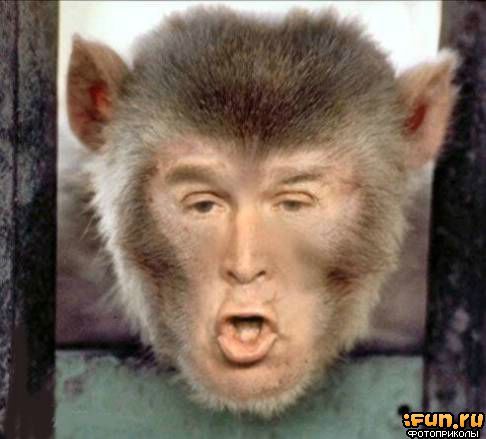 Василий Бахтияров