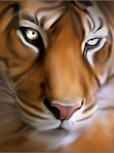 Наталья Лебедева