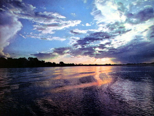 Елена Захарова