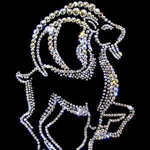 Sandugash Ahmetzhanova