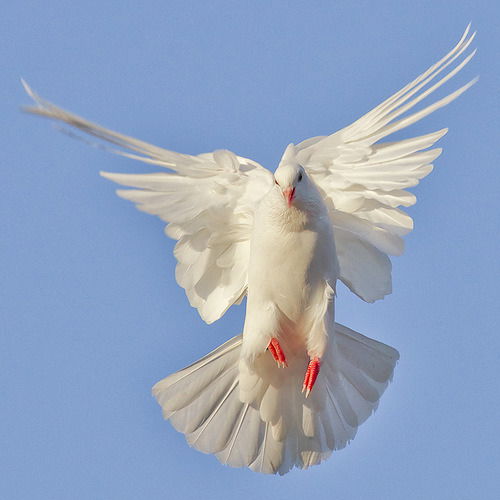 Ануза Каримова