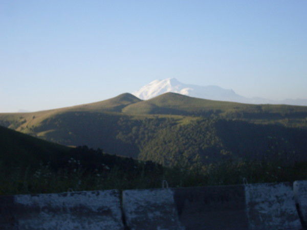 Светлана Ковыршина