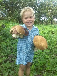 Полина Сорокина