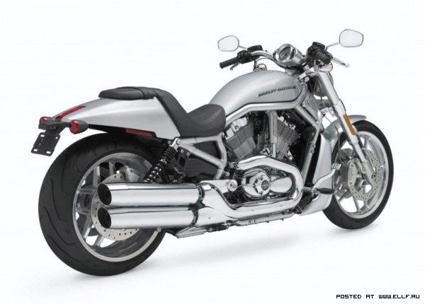 Николай Колыванов