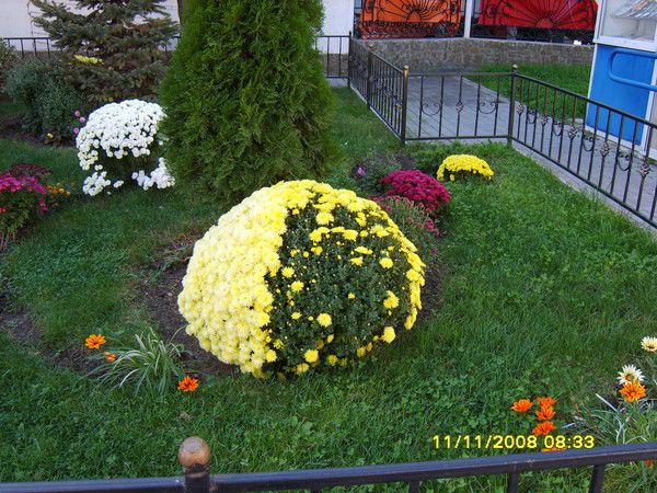 Валентина Камалутдинова